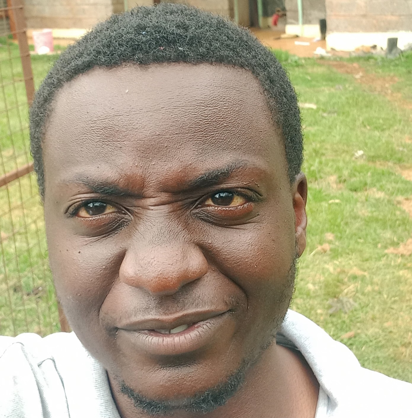 Khatili laban Icon