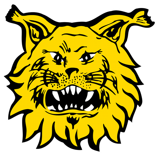 Ilves Logo
