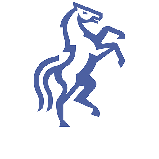 Politehnica Iași Logo