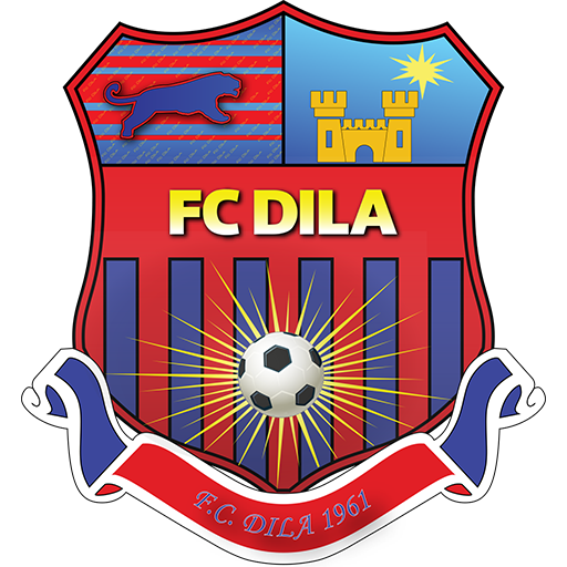 Dila Gori Logo
