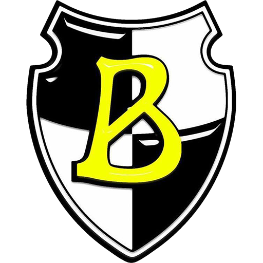 Borussia Neunkirchen Logo