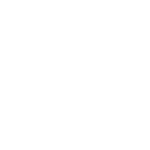 Zenit-2 Saint Petersburg Logo