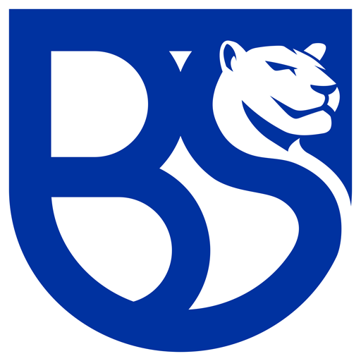 Union Brescia Logo