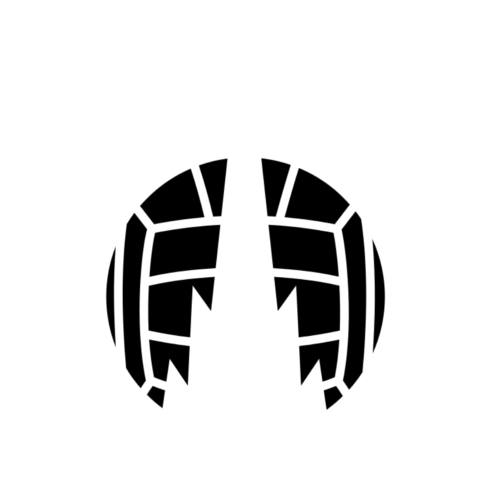 Falkirk Logo