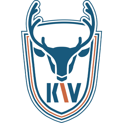 Dalian Kewei Logo