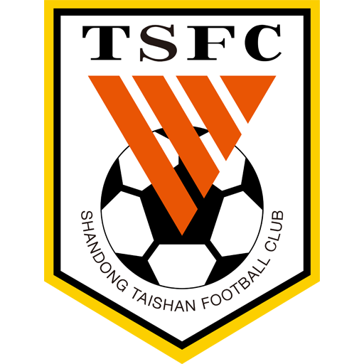 Shandong Taishan B Logo